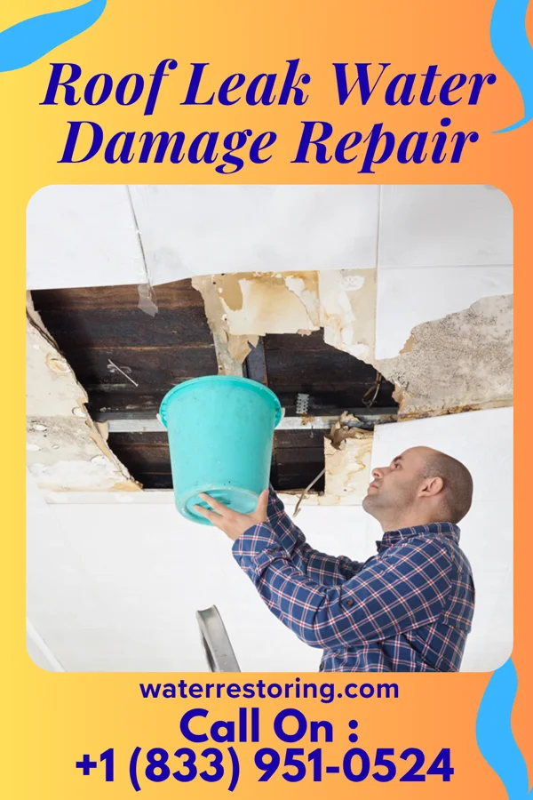 Roof Leak Water Damage Repair in Four Bears Village, ND